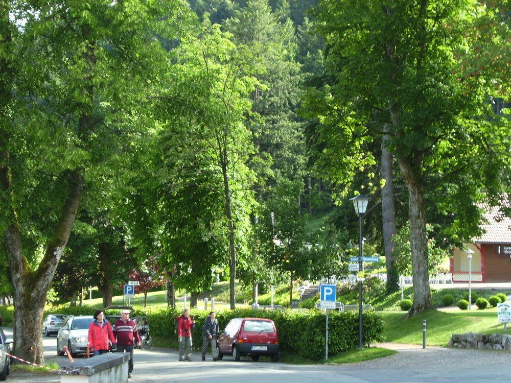 Europaeisches Gaeste- Und Seminarhaus Todtmoos Zewnętrze zdjęcie
